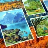 Album wakacyjny, wsuwany Top Góry Żółty (300 zdjęć 10x15)